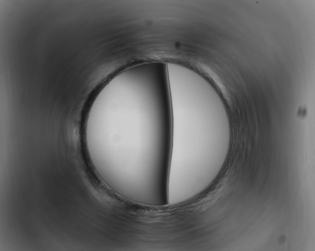 X0000103410443200809120952