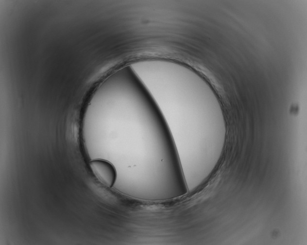 X0000103410446200809120952