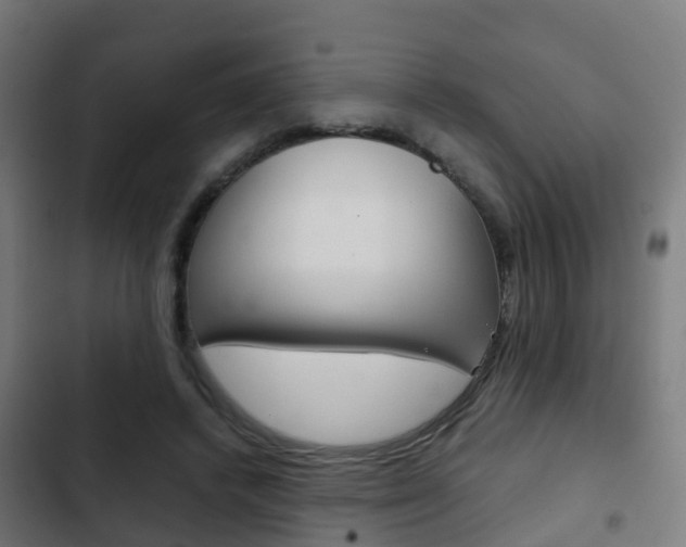 X0000103410448200809120953