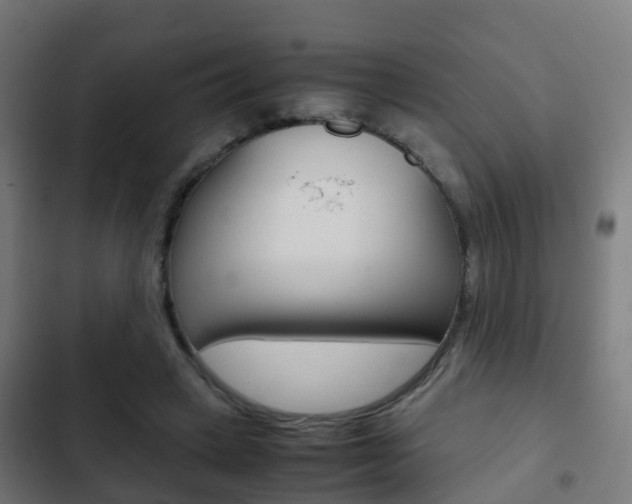 X0000103410449200809120953