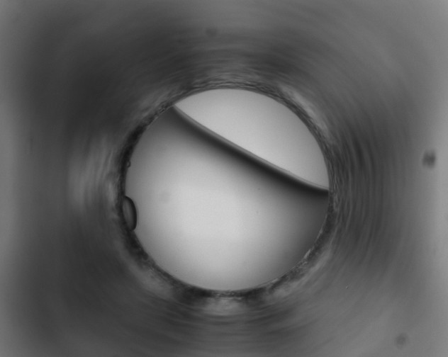 X0000103410451200809120953