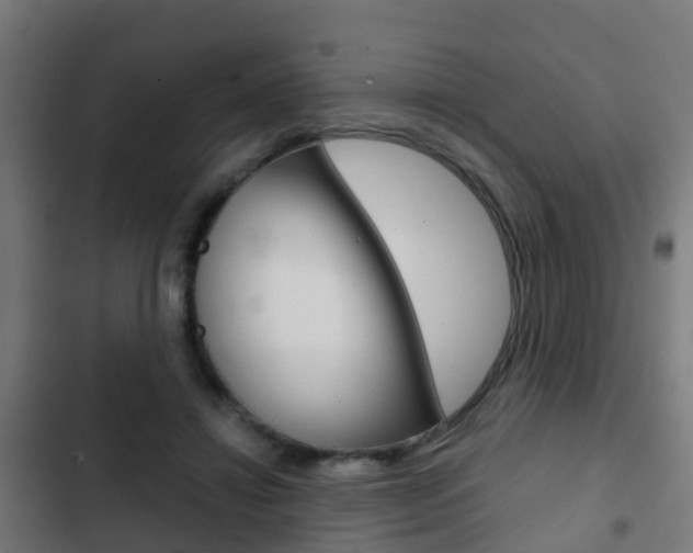 X0000103410452200809120953