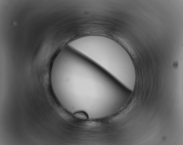X0000103410453200809120953