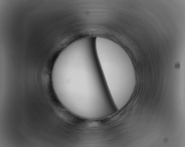 X0000103410456200809120953