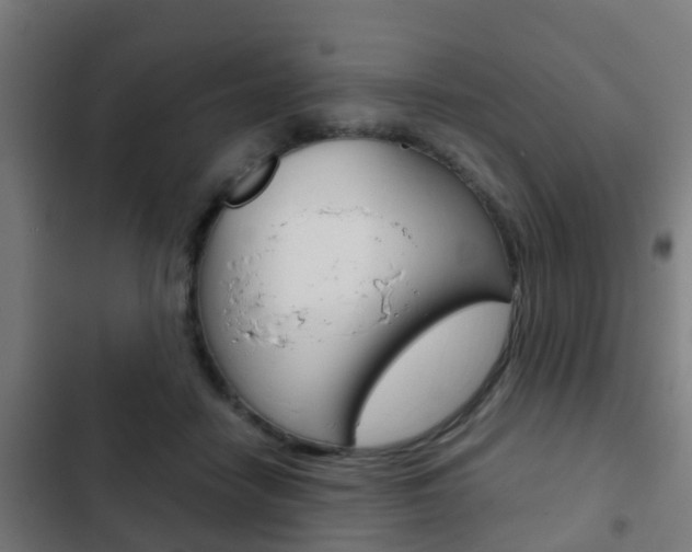 X0000103410458200809120953