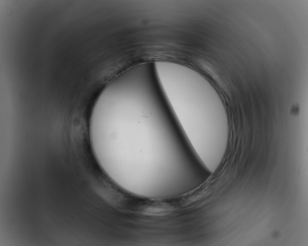 X0000103410459200809120953