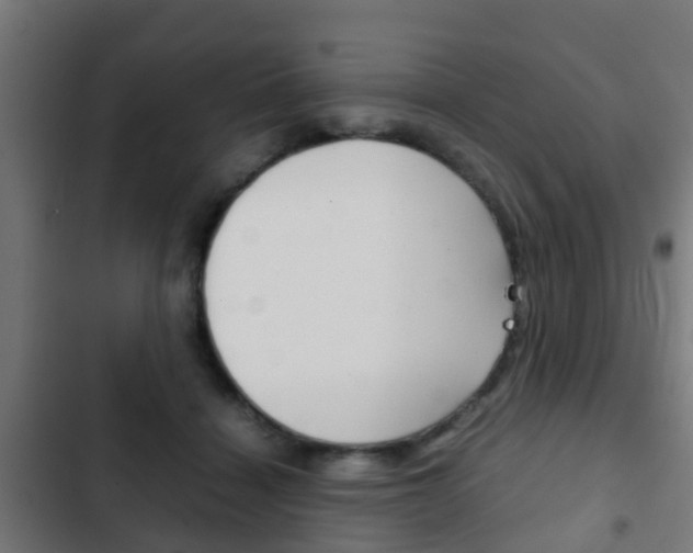 X0000103410460200809120953