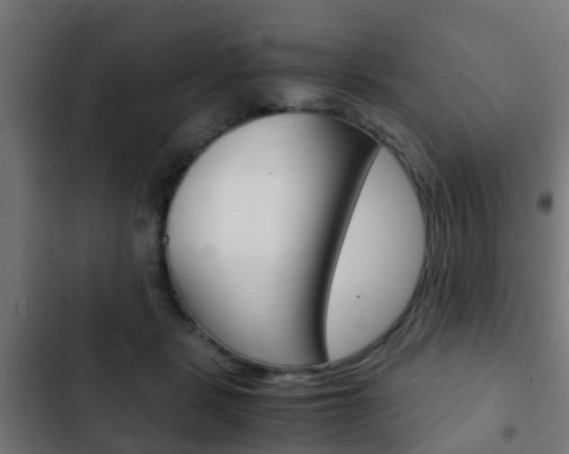 X0000103410461200809120953
