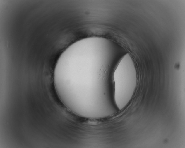 X0000103410464200809120953