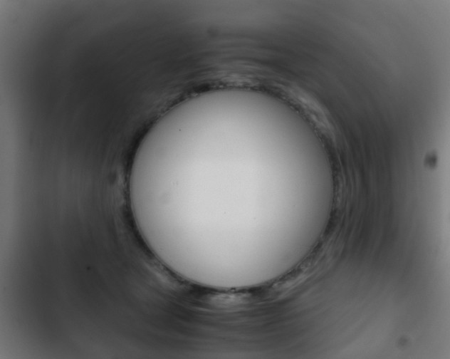 X0000103410465200809120953