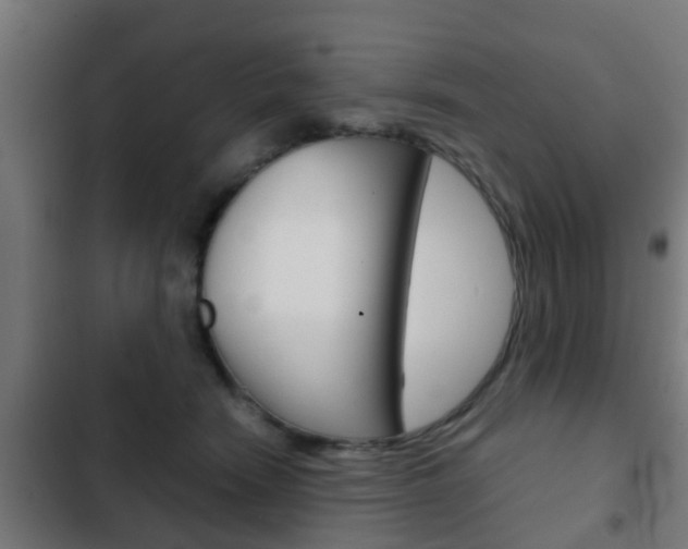 X0000103410466200809120953