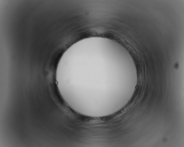 X0000103410468200809120953