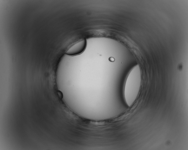X0000103410469200809120953