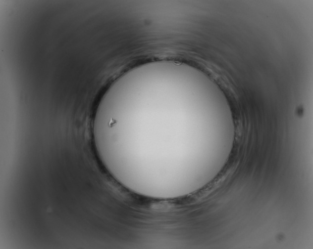 X0000103410470200809120953