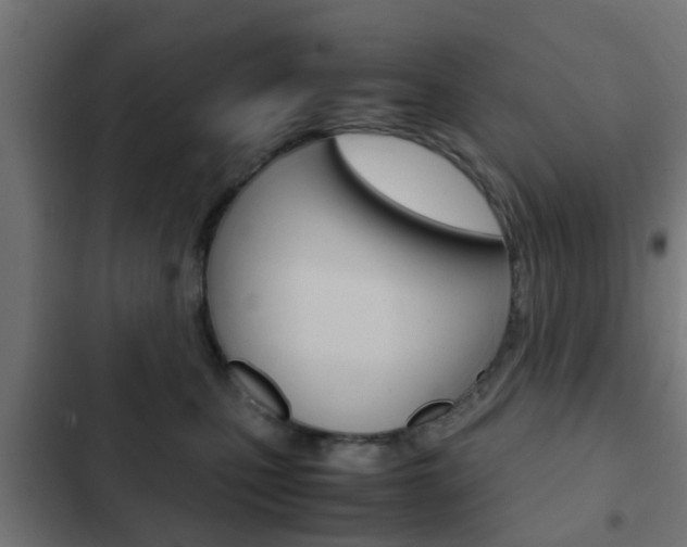 X0000103410471200809120953