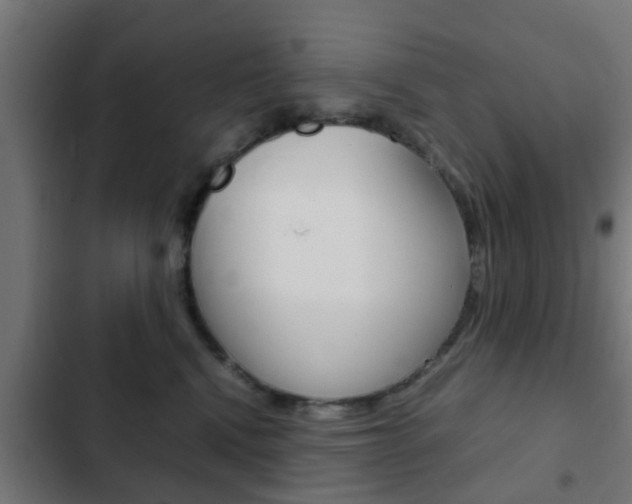 X0000103410472200809120953