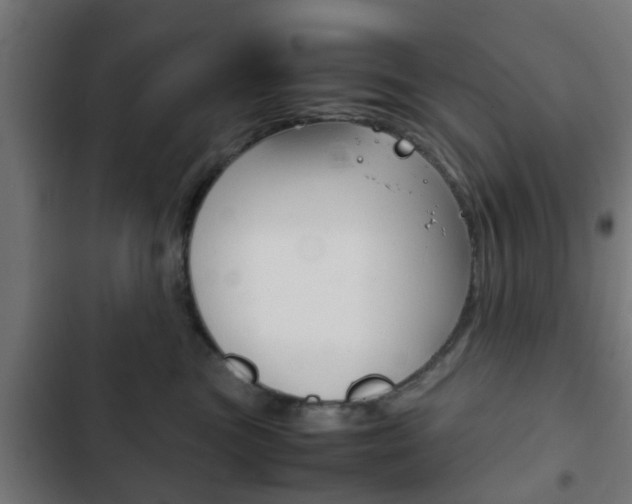 X0000103410473200809120953
