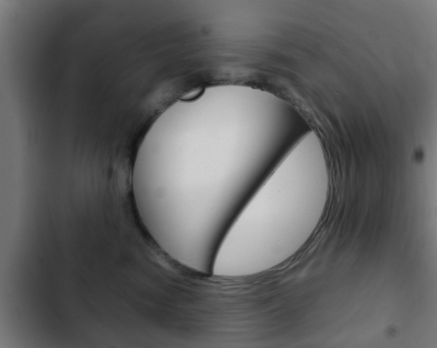 X0000103410474200809120953
