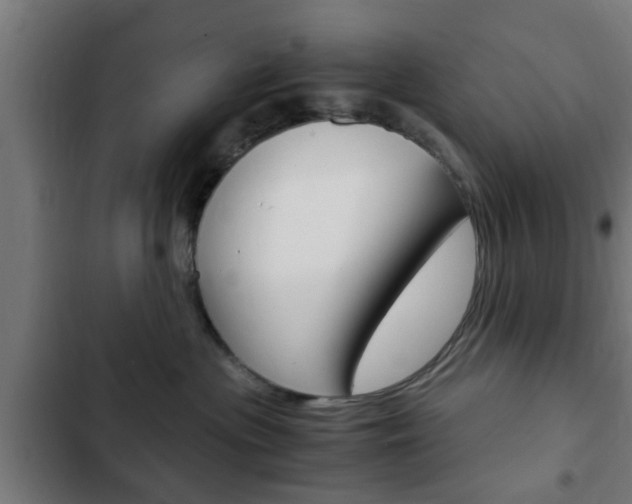 X0000103410477200809120953