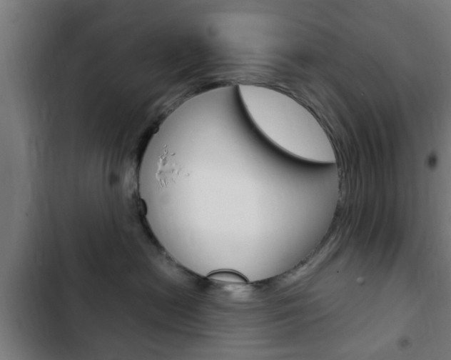 X0000103410478200809120953