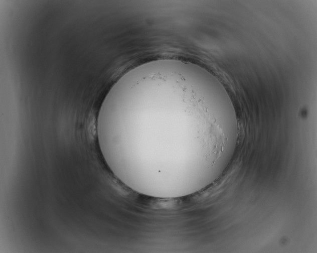 X0000103410479200809120953