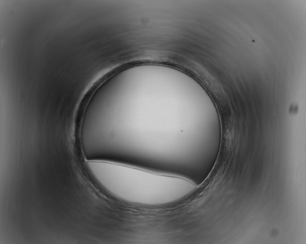 X0000103410484200809120952