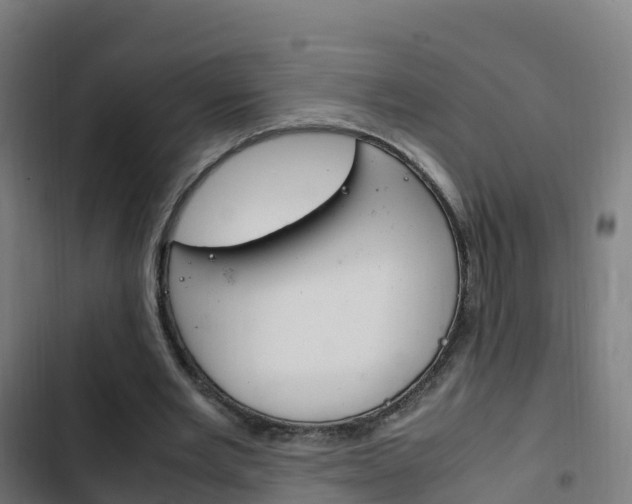 X0000103410485200809120952