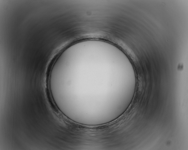 X0000103410486200809120952