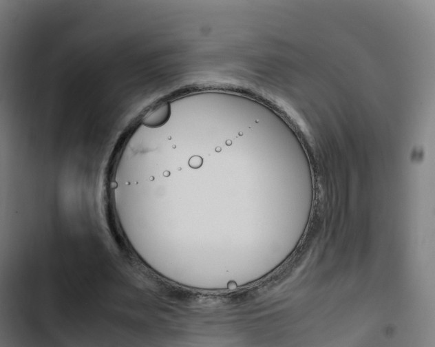 X0000103410487200809120952