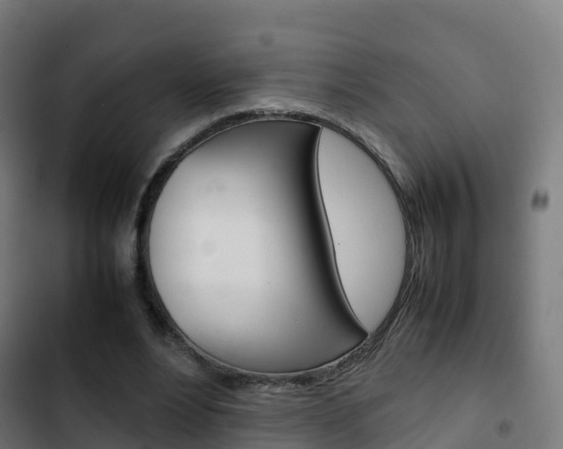 X0000103410488200809120952
