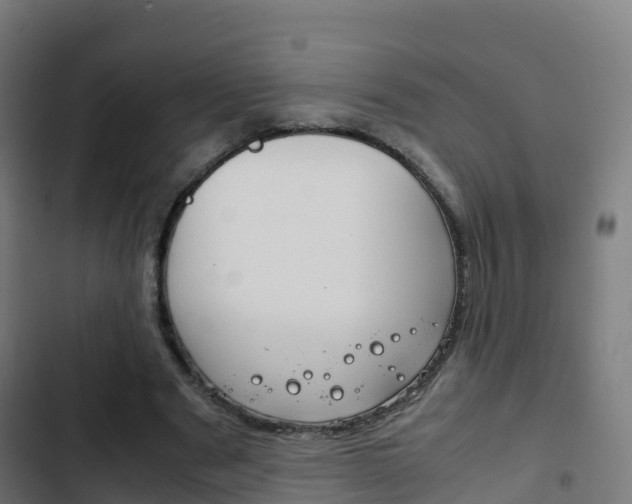 X0000103410489200809120952