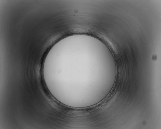 X0000103410490200809120952