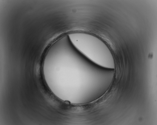 X0000103410492200809120952