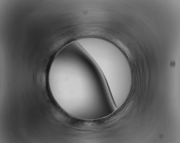X0000103410493200809120952