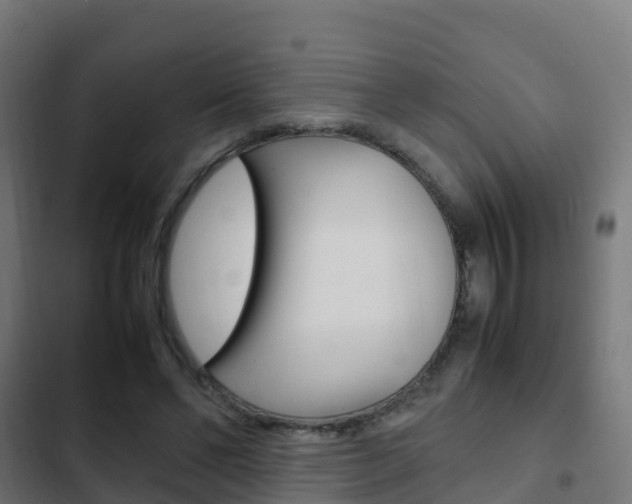X0000103410494200809120952