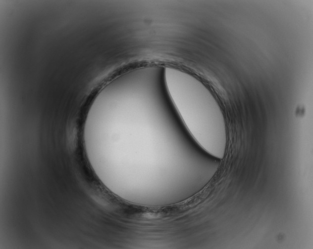 X0000103410496200809120952