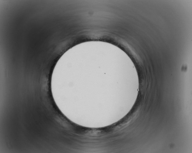 X0000103410497200809120952