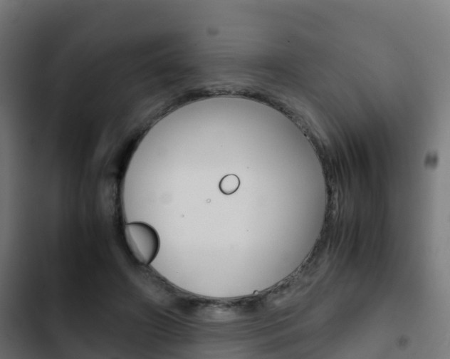 X0000103410498200809120952