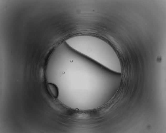 X0000103410500200809120952