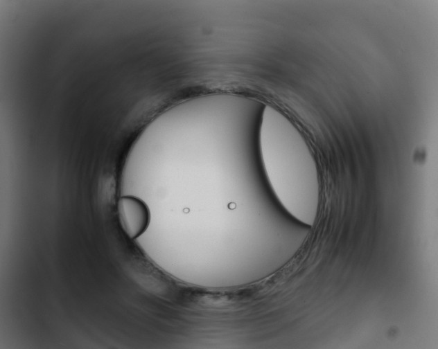 X0000103410502200809120952