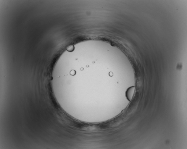 X0000103410503200809120952