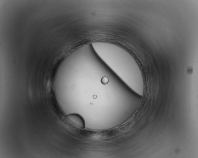 X0000103410504200809120952