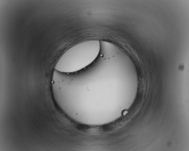 X0000103410505200809120952