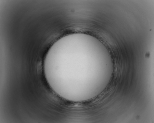 X0000103410506200809120952