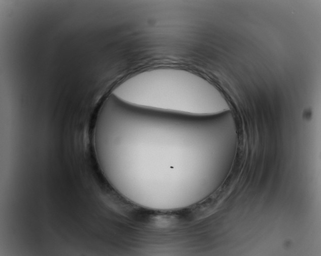 X0000103410508200809120952