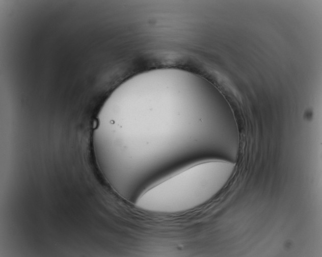 X0000103410509200809120952