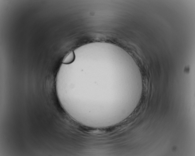 X0000103410511200809120952