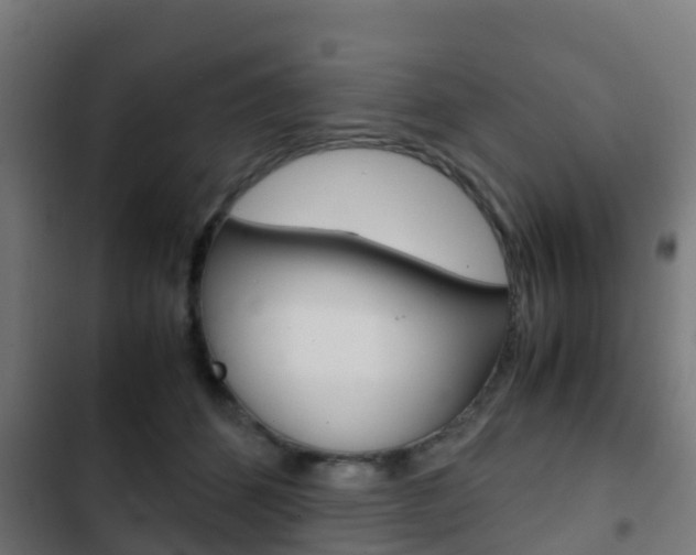 X0000103410512200809120952