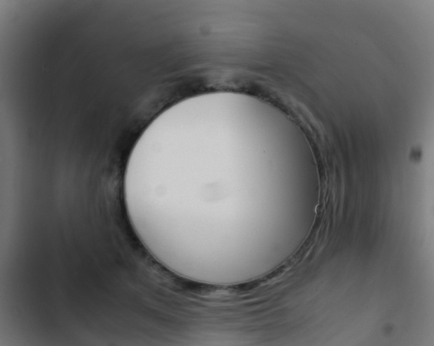 X0000103410513200809120952