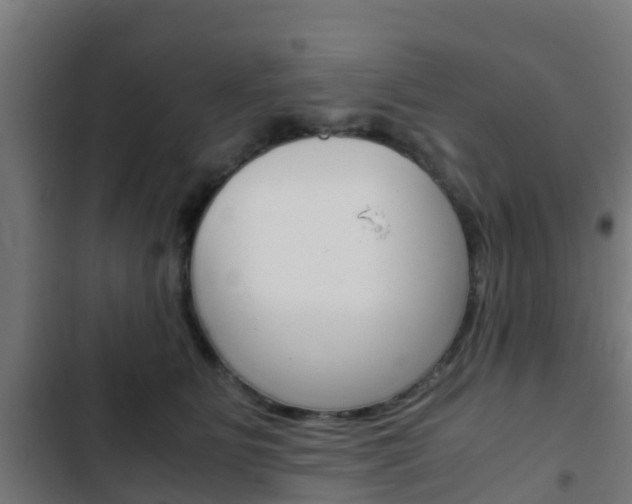 X0000103410515200809120952